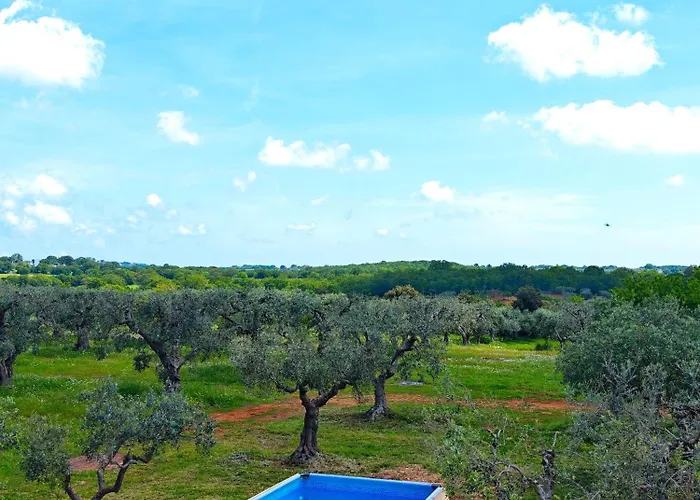 Trullo Dueconi Βίλα Αλμπερομπέλο